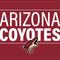 NHL Arizona Coyotes Lineup G203 Prodigy RGB Wired Gaming Mouse Skin